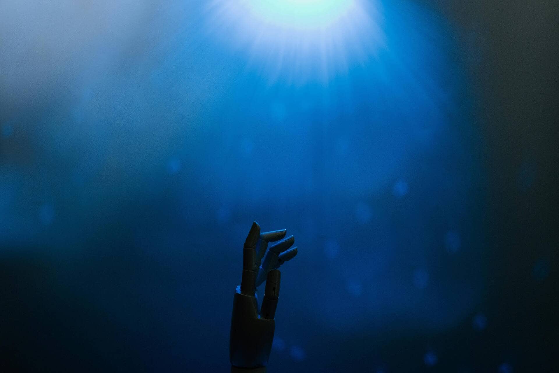 pexels-tara-winstead-8386356 (1)